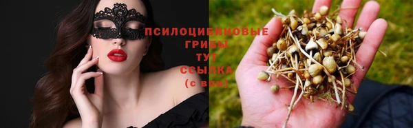 гидра Бугульма