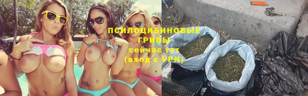 ALPHA-PVP Бородино