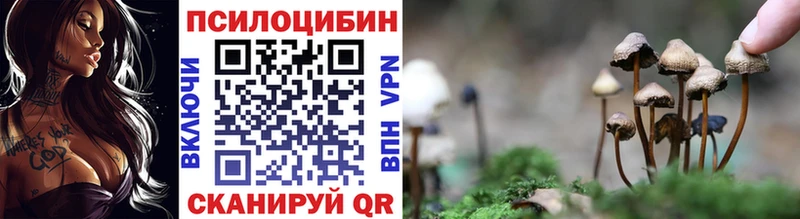 Купить  Глазов  Псилоцибиновые грибы мицелий 